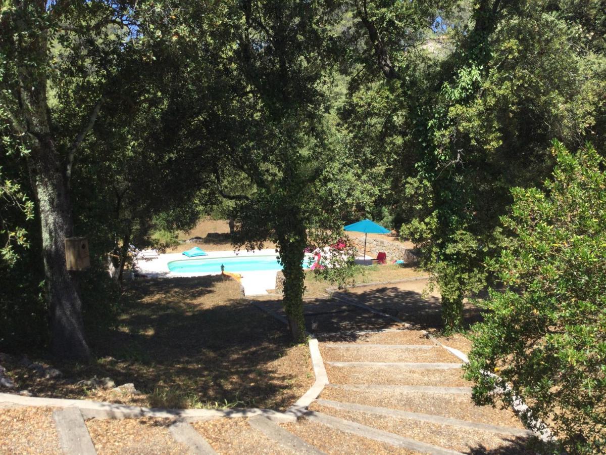 Villa Bleucassis Taradeau Exterior foto